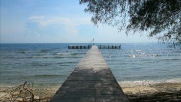 Wisata Unik! Camping dan Memantau Burung di Cagar Alam Pulau Dua