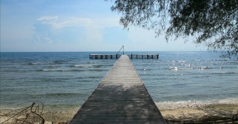 Wisata Unik! Camping dan Memantau Burung di Cagar Alam Pulau Dua