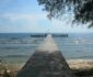 Wisata Unik! Camping dan Memantau Burung di Cagar Alam Pulau Dua