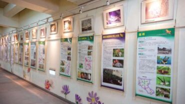Menjelajah Koleksi Flora dan Fauna di Museum