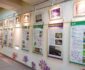 Menjelajah Koleksi Flora dan Fauna di Museum