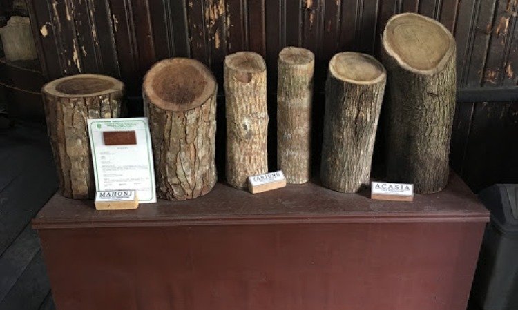 Museum Kayu Tuah Himba