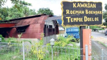 Berkunjung ke Museum untuk Belajar Keanekaragaman Hayati Borneo