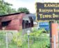 Berkunjung ke Museum untuk Belajar Keanekaragaman Hayati Borneo
