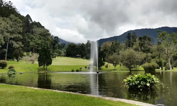 Taman Liana