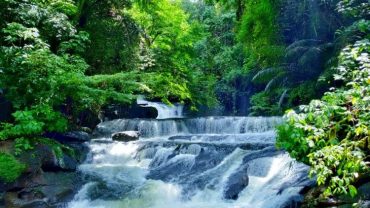 9 Tempat Wisata di Subulussalam Terbaru & Paling Favorit