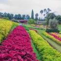 Happy Farm Ciwidey: Memadukan Wisata Edukasi dan Keceriaan Alam