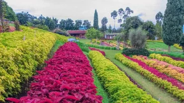 Happy Farm Ciwidey: Memadukan Wisata Edukasi dan Keceriaan Alam