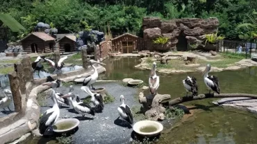 Lembang Park & Zoo