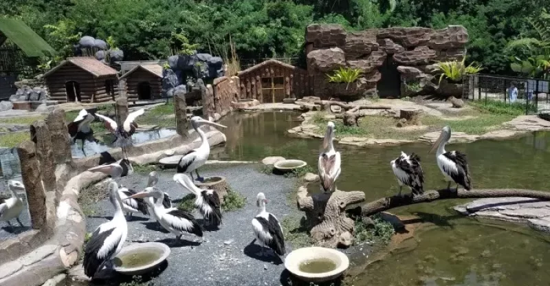 Lembang Park & Zoo