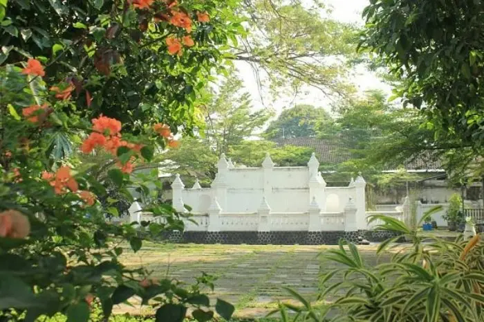 Aktivitas Seru yang Bisa Dilakukan
