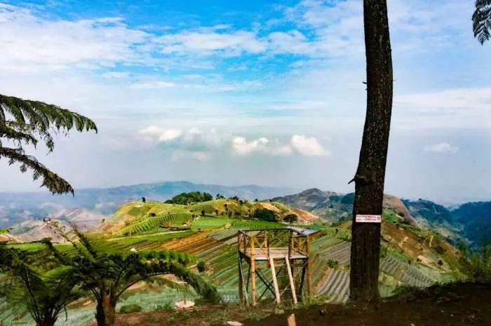 Aktivitas Seru yang Bisa Dilakukan
