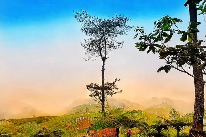 Daya Tarik yang Dimiliki Bukit Mercury Sayang Kaak